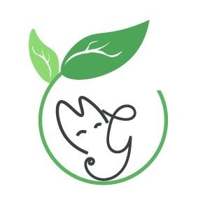 Lớp nhạc An Mộc - Đông Hưng Thuận