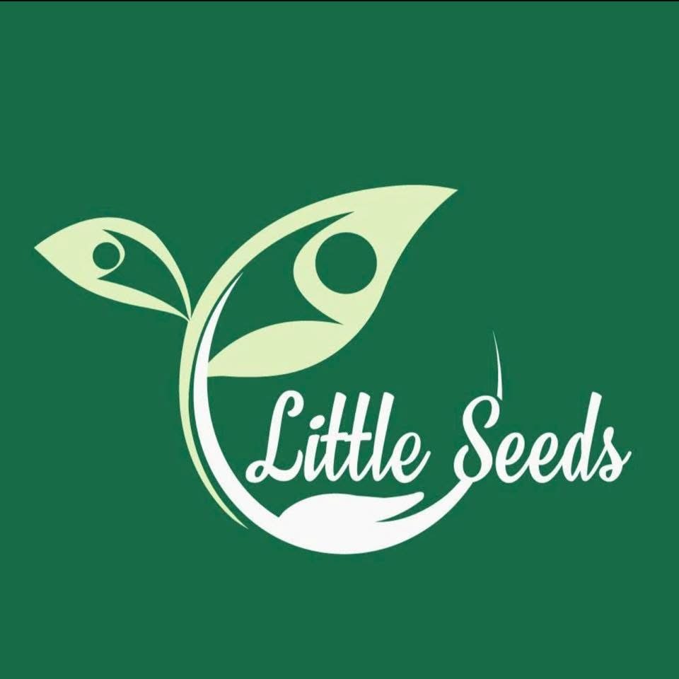 MẦM NON HẠT NHỎ (Little Seeds Preschool) - VĂN PHÚ