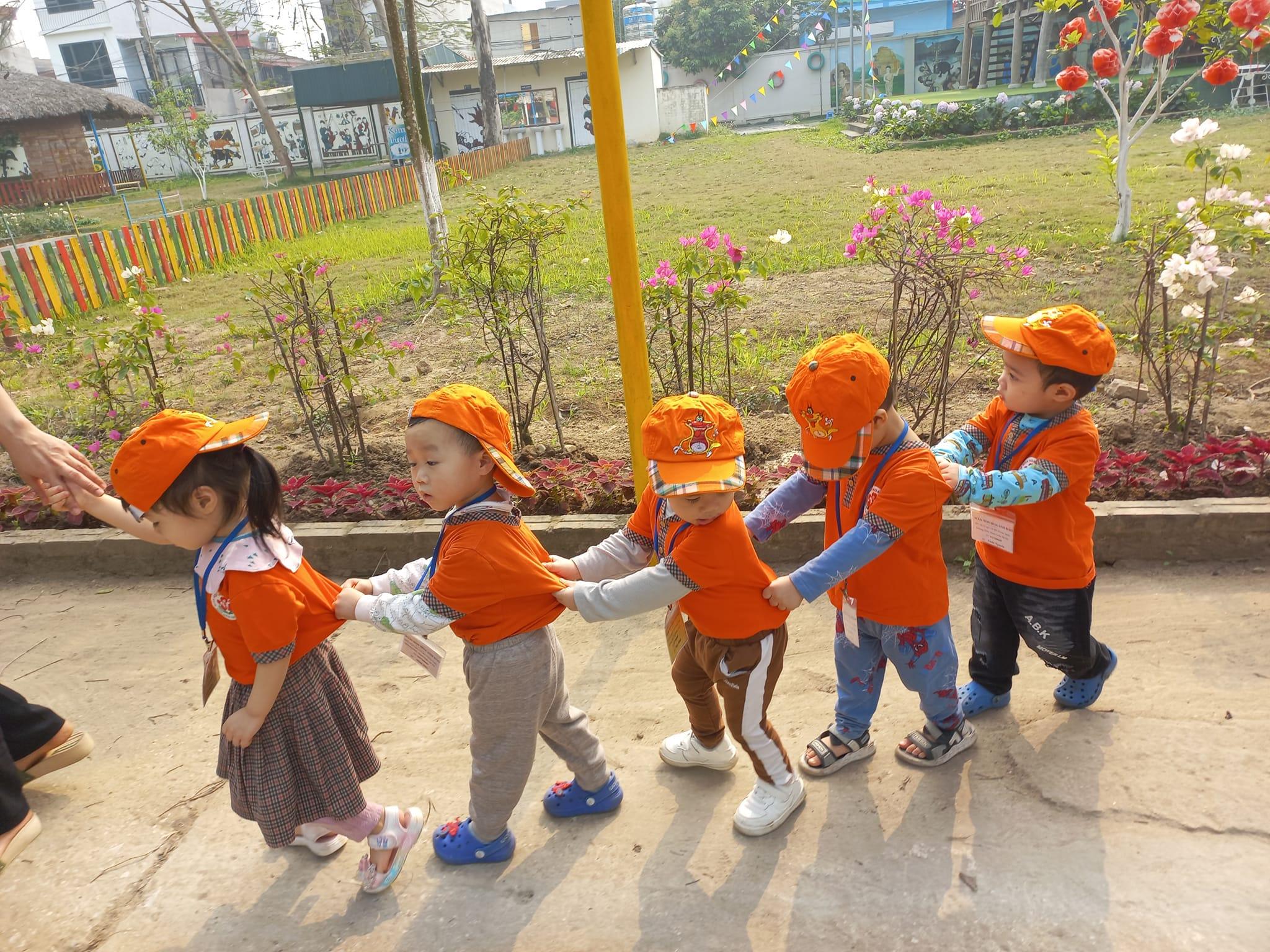 Mầm Non Hoa Anh Đào - Khương Đình