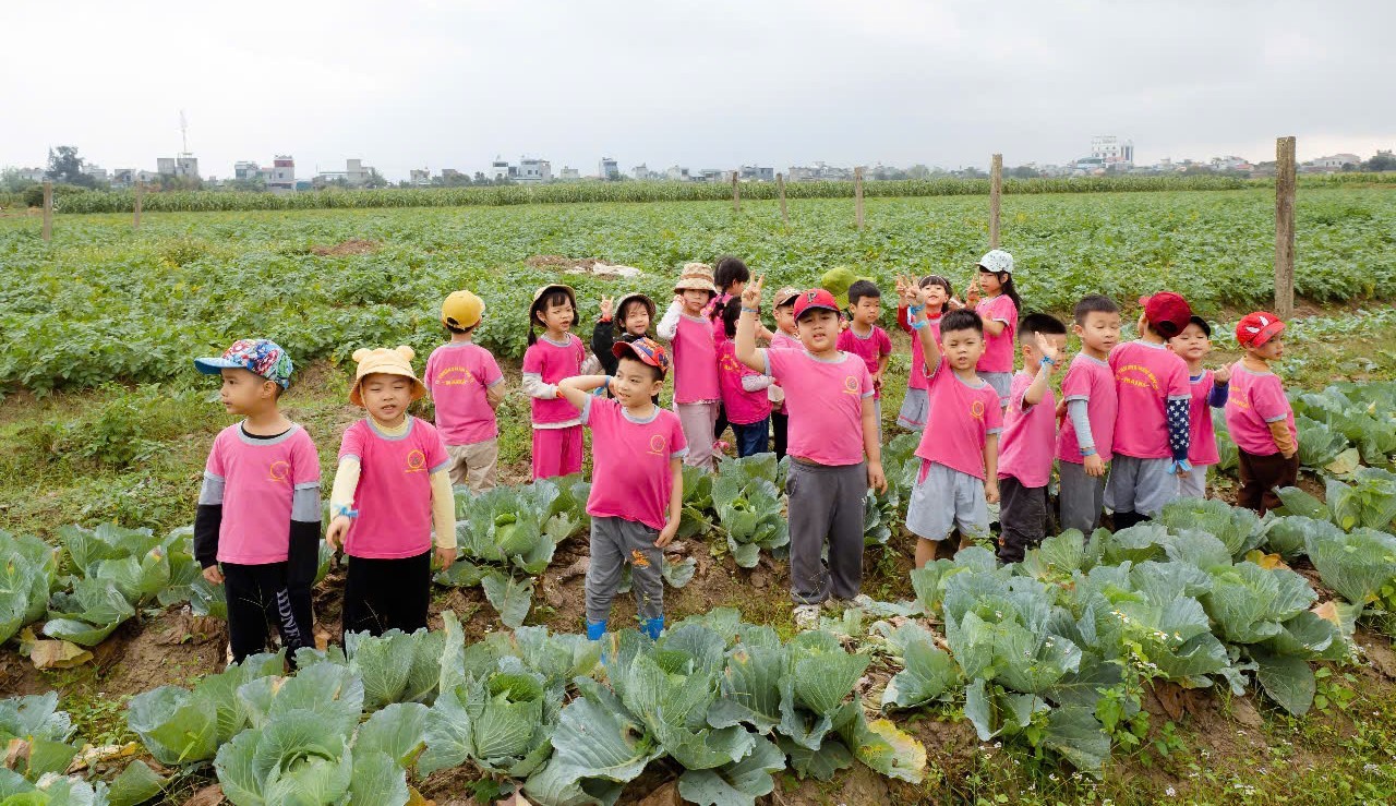 MẦM NON TƯ THỤC MAIKA (MAIKA MONTESSORI) - LỘC VƯỢNG, NAM ĐỊNH