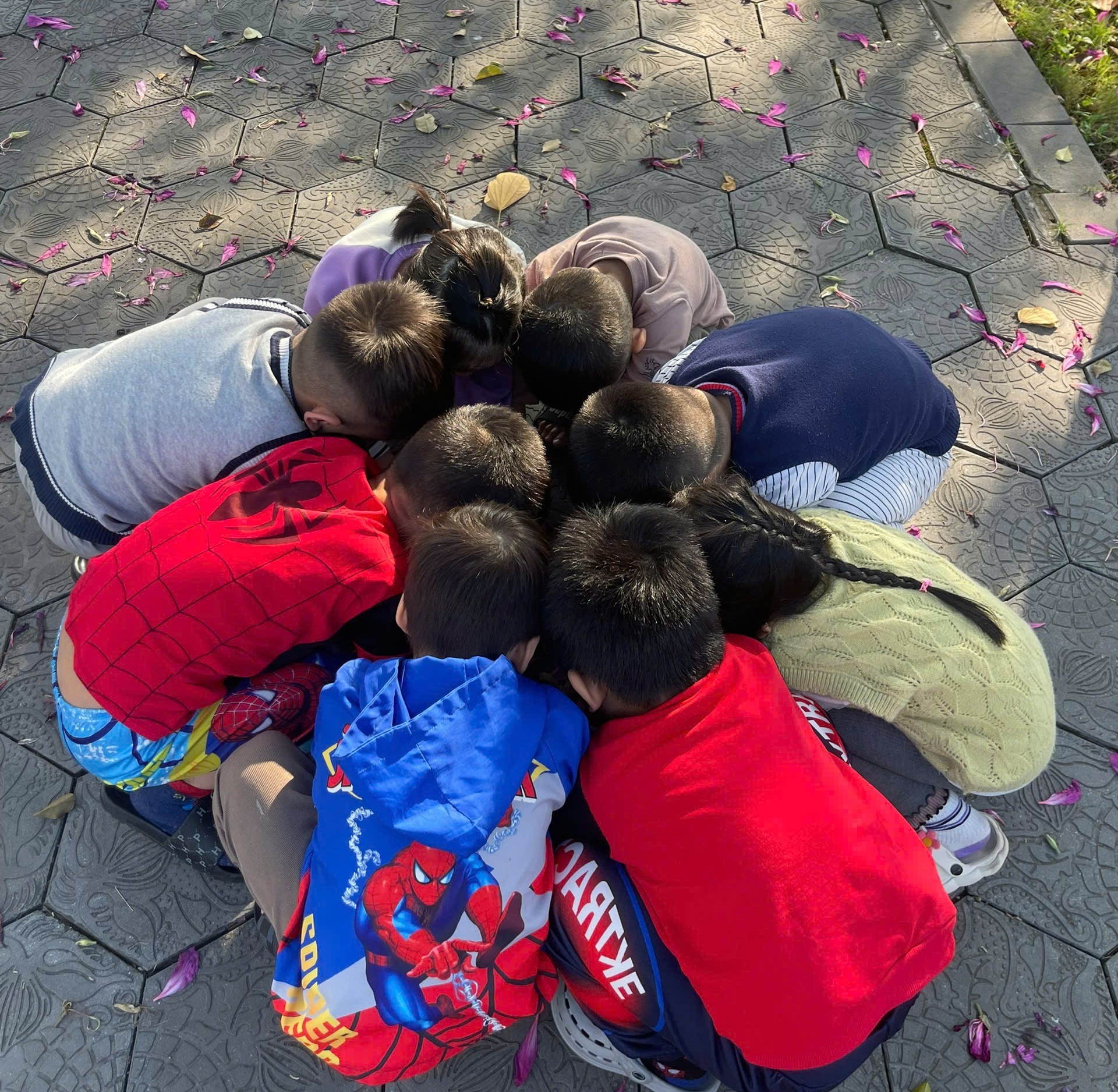 Mầm Non Măng Non  - Tân Hưng, Hải Phòng