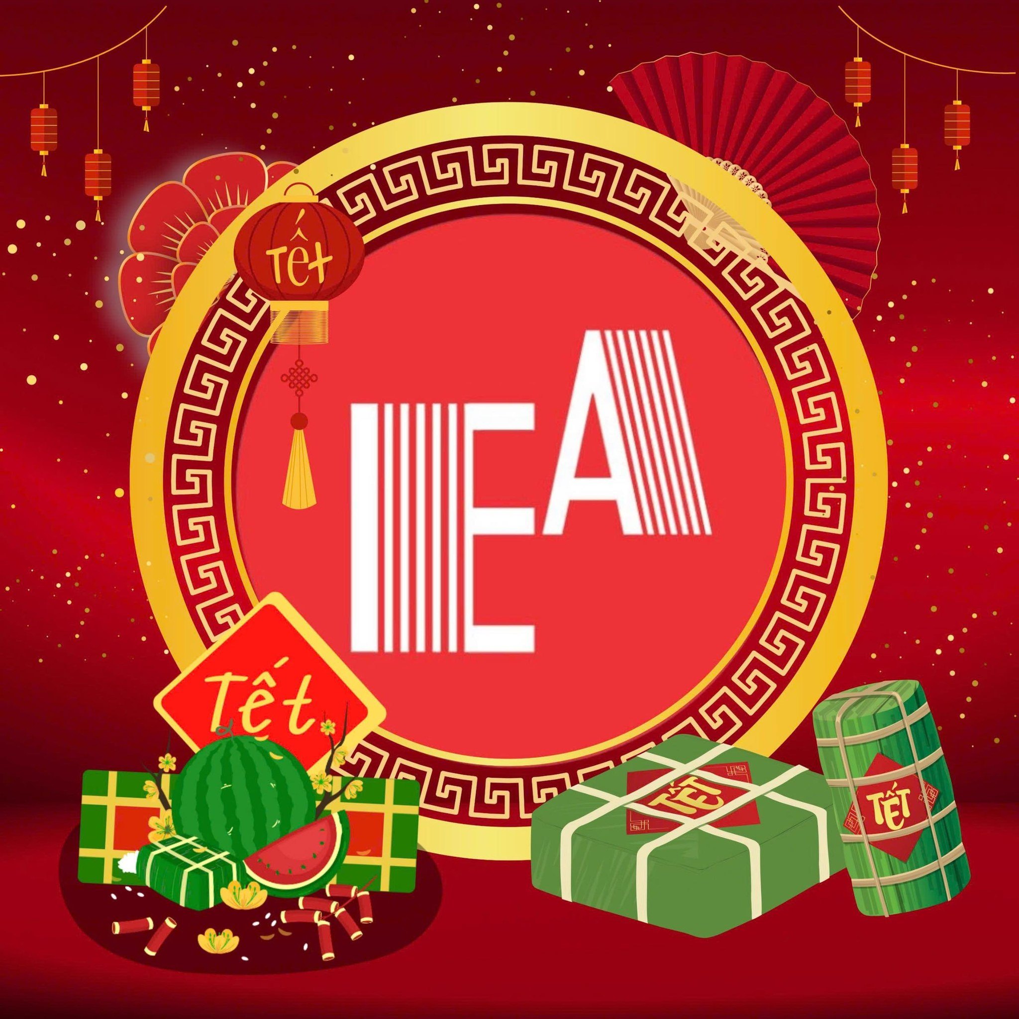 Trung tâm Anh ngữ EMMA CS2 - Liên Chiểu