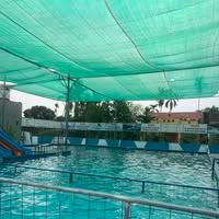 Trung tâm Bể bơi Trường thành - An Lão