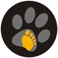 Trung tâm Đào Tạo Lập Trình Viên Quốc Tế - Softech Aptech - Hải Châu