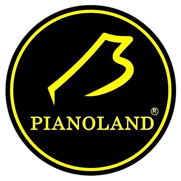 Trung tâm Dạy PIANOLAND - Hải An