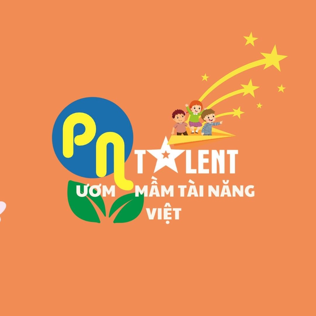 Trung tâm Năng khiếu P&N Talent - Cẩm Lệ