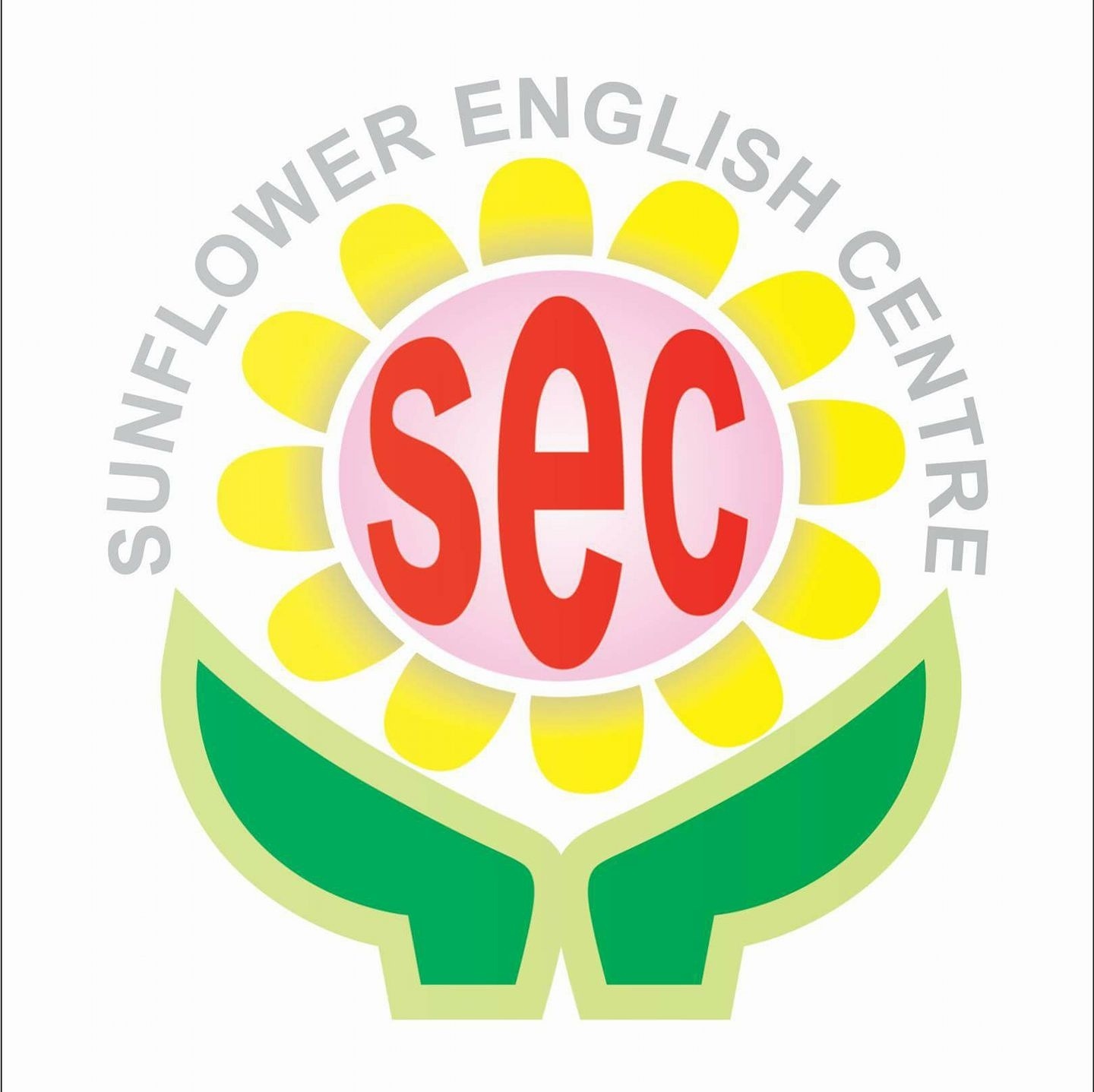 Trung tâm Sunflower English Center - Ngũ Hành Sơn