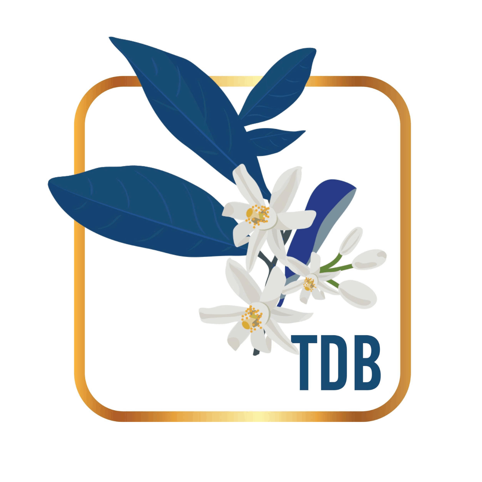 Trung Tâm Thầy Dũng Bưởi - Tây Hồ