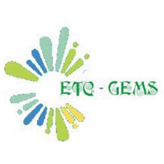 Trường Mầm Non Song Ngữ ETC Gems - Hai Bà Trưng