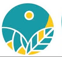 Trường Mầm Non Song Ngữ O'hana - Buôn Ma Thuột