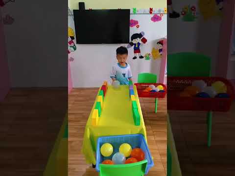 Mầm Non Mèo Con - Thành phố Đồng Xoài