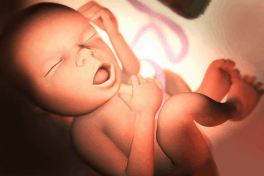 bung-bau-keu-bup-bup