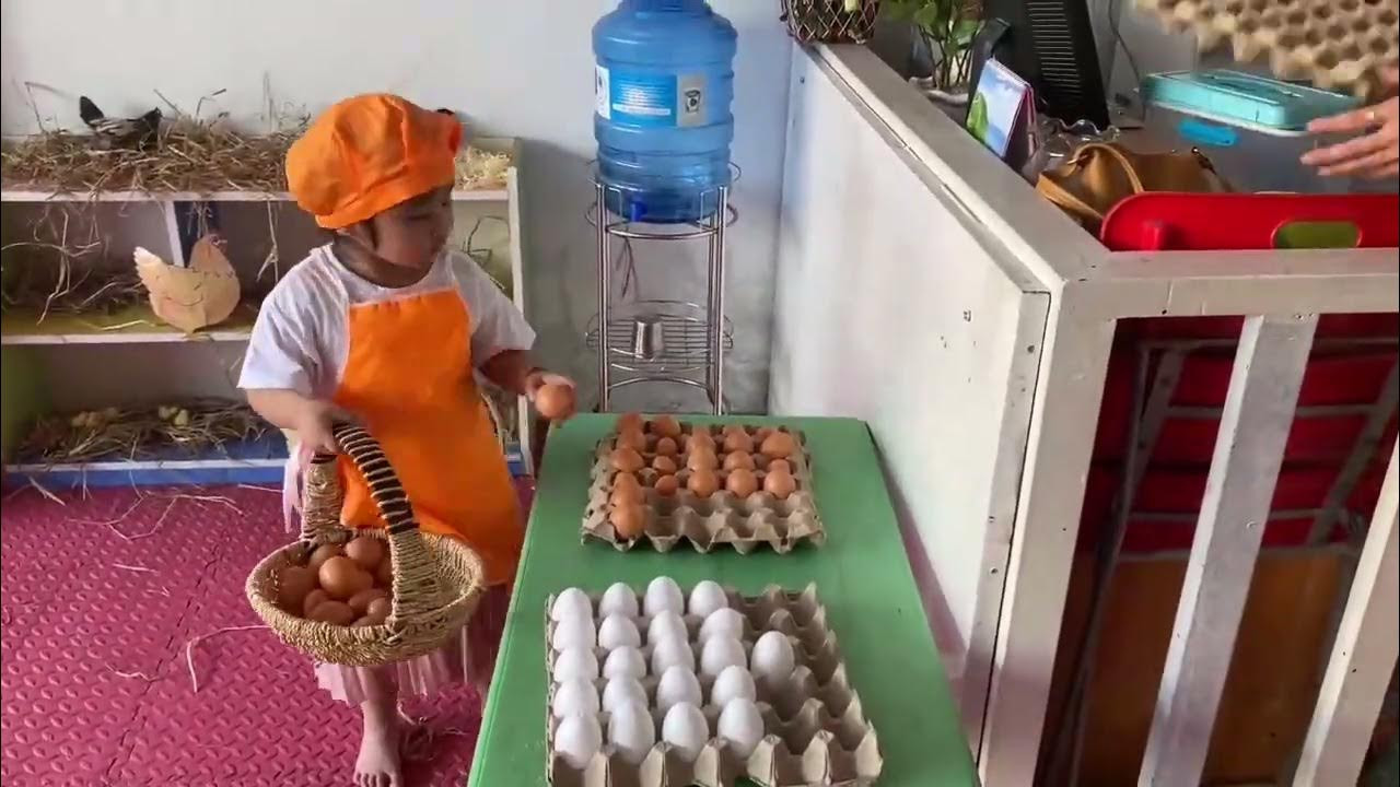 1 ngày thu hoạch nông trại của các bé Mầm Non Tuệ Tâm - Hiệp Bình Chánh