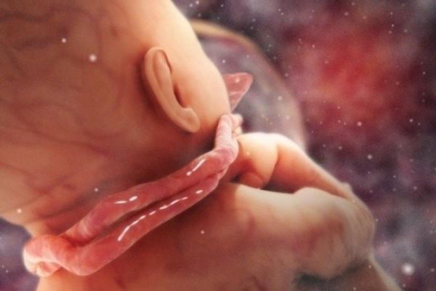 so-bung-bau-nhieu-co-tot-khong