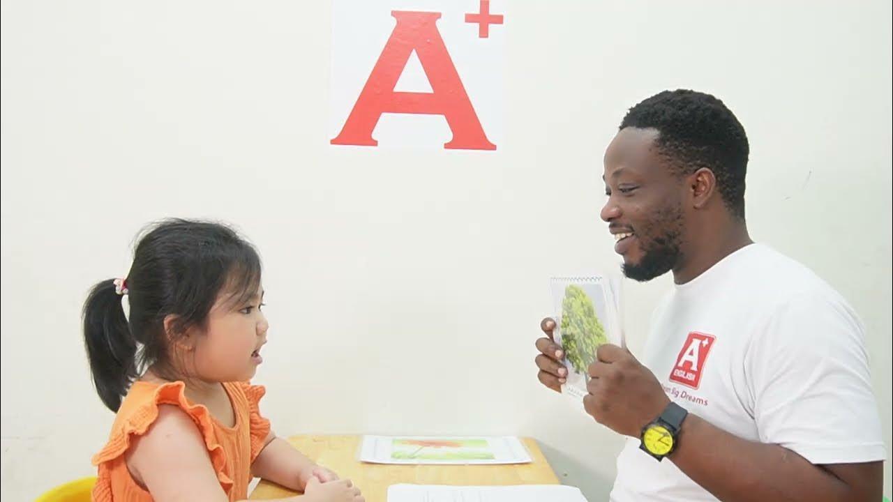 TẠI SAO NÊN CHO TRẺ HỌC TIẾNG ANH TỪ ĐỘ TUỔI MẦM NON?