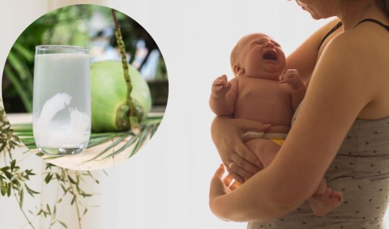 sinh-mo-uong-nuoc-dua-duoc-khong