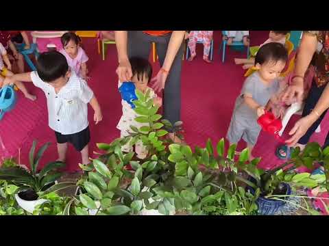 Mầm Non Tuệ Tâm - Hiệp Bình Chánh