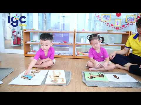 TRƯỜNG MẦM NON IGC BẾN TRE – NƠI CON BẮT ĐẦU HÀNH TRÌNH TUỔI THƠ HẠNH PHÚC