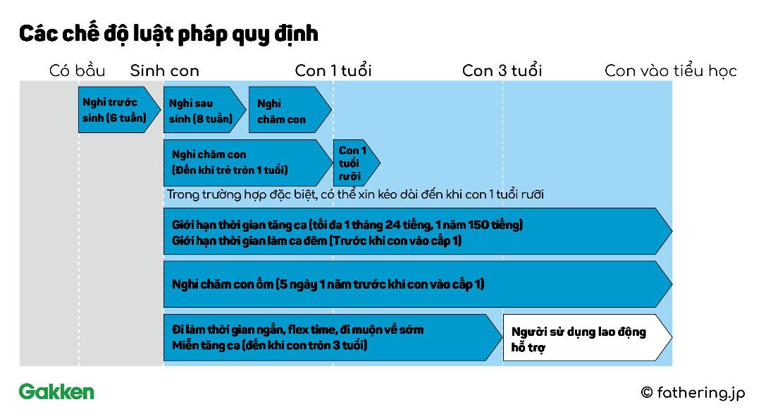 Bài học luật pháp cho người cha kiểu mới