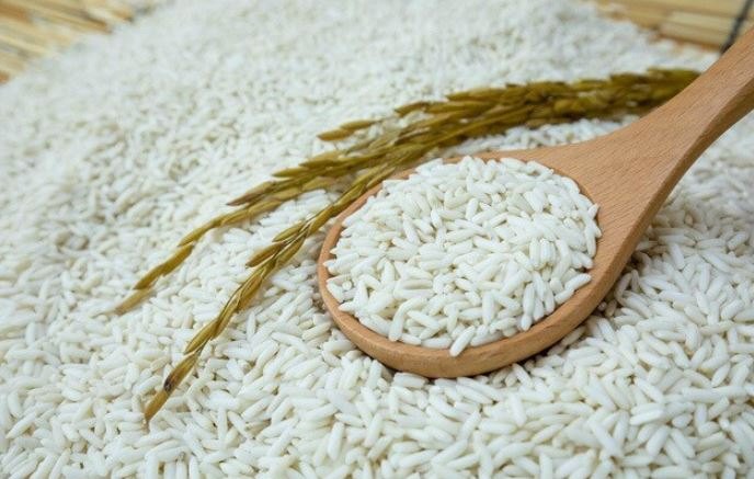 sinh-mo-bao-lau-thi-an-duoc-nep