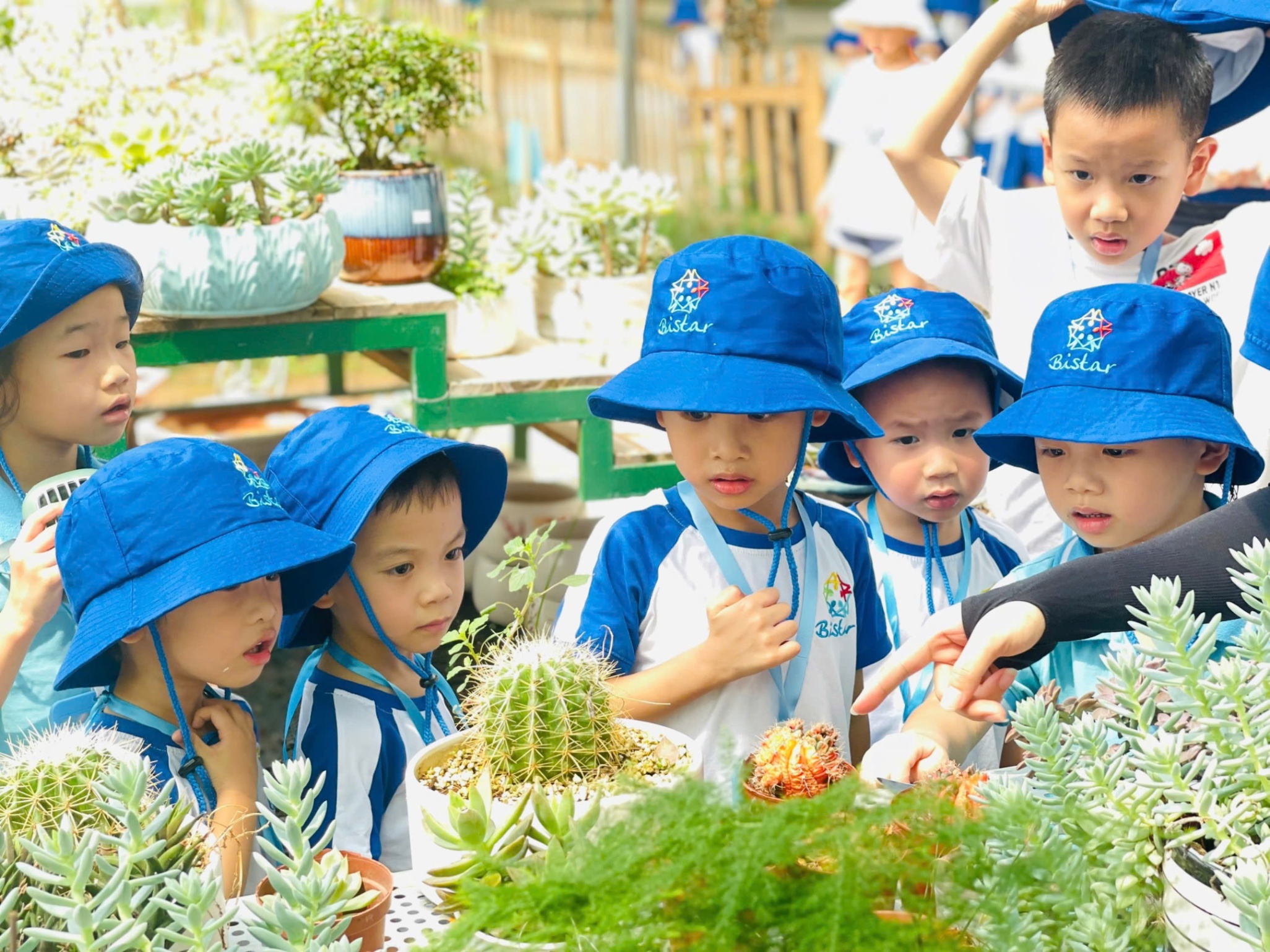 Trường Mầm Non Bistar - Ecopark