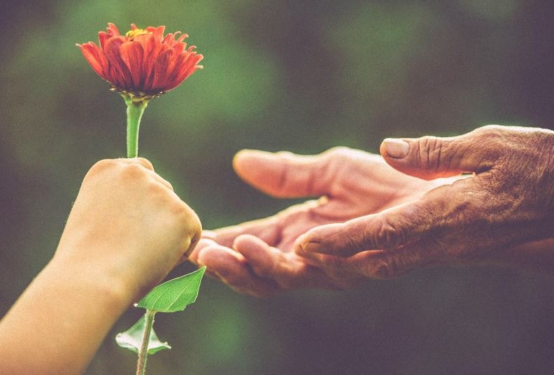 giao-duc-som-cho-tre-2-tuoi-1