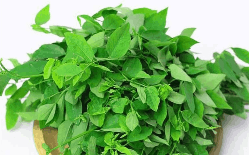 say-thai-uong-gi-cho-sach-tu-cung