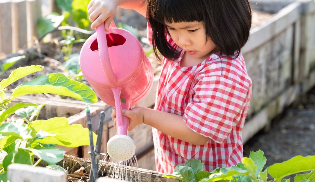 day-ky-nang-song-cho-tre-4-tuoi-1