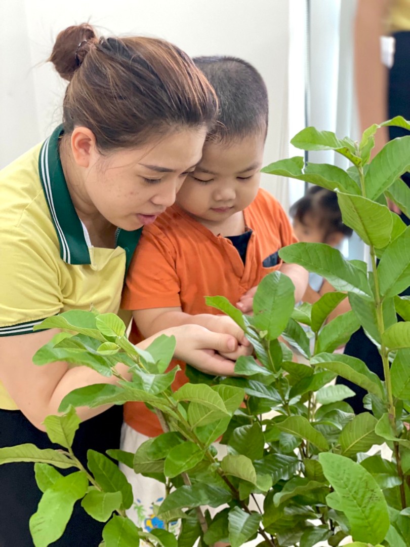 Đội ngũ giáo viên