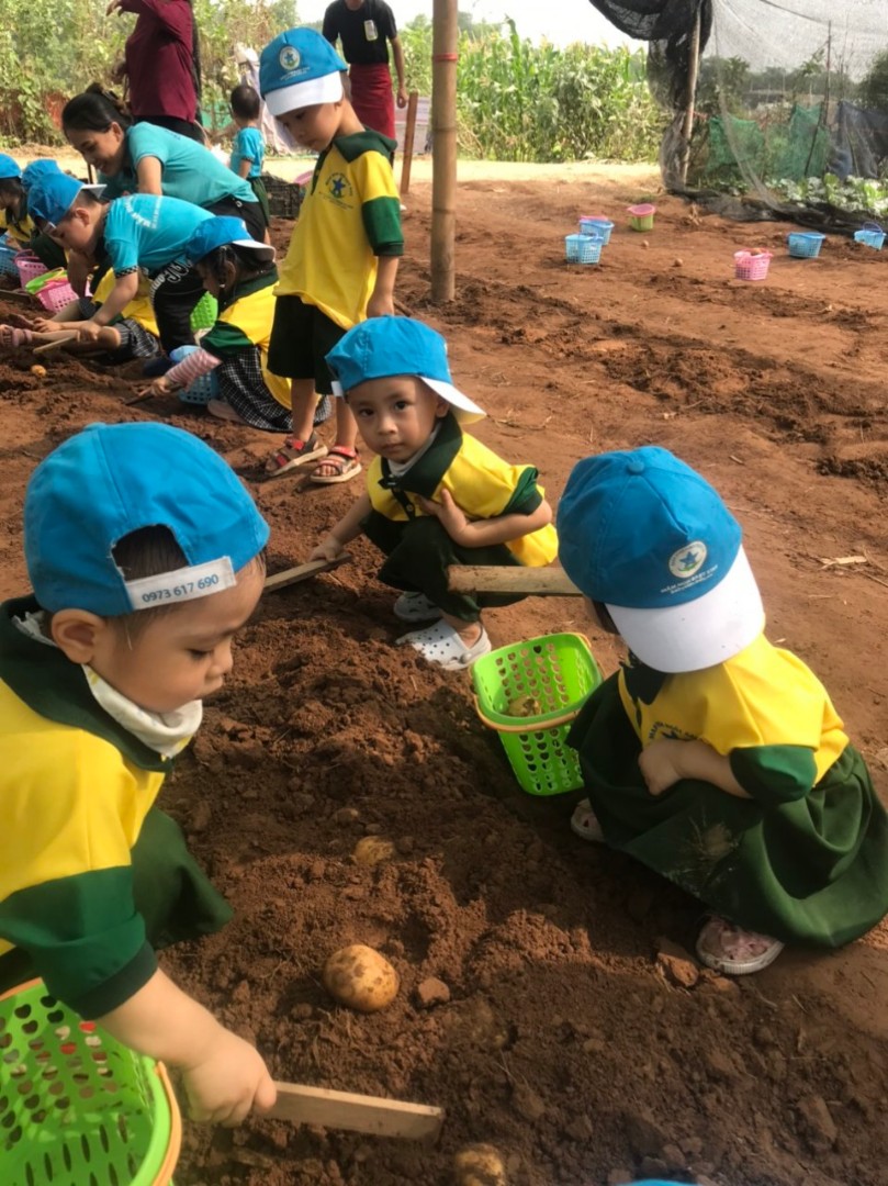 Dịch vụ và tiện ích