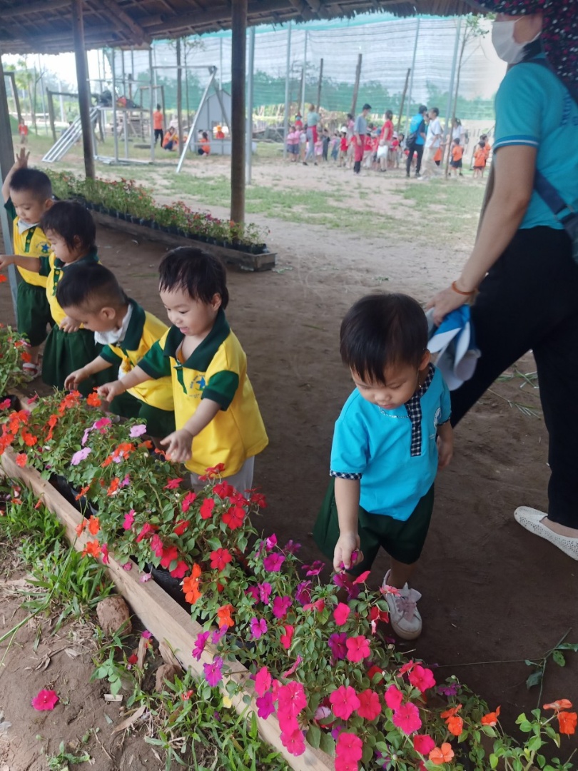 Dịch vụ và tiện ích