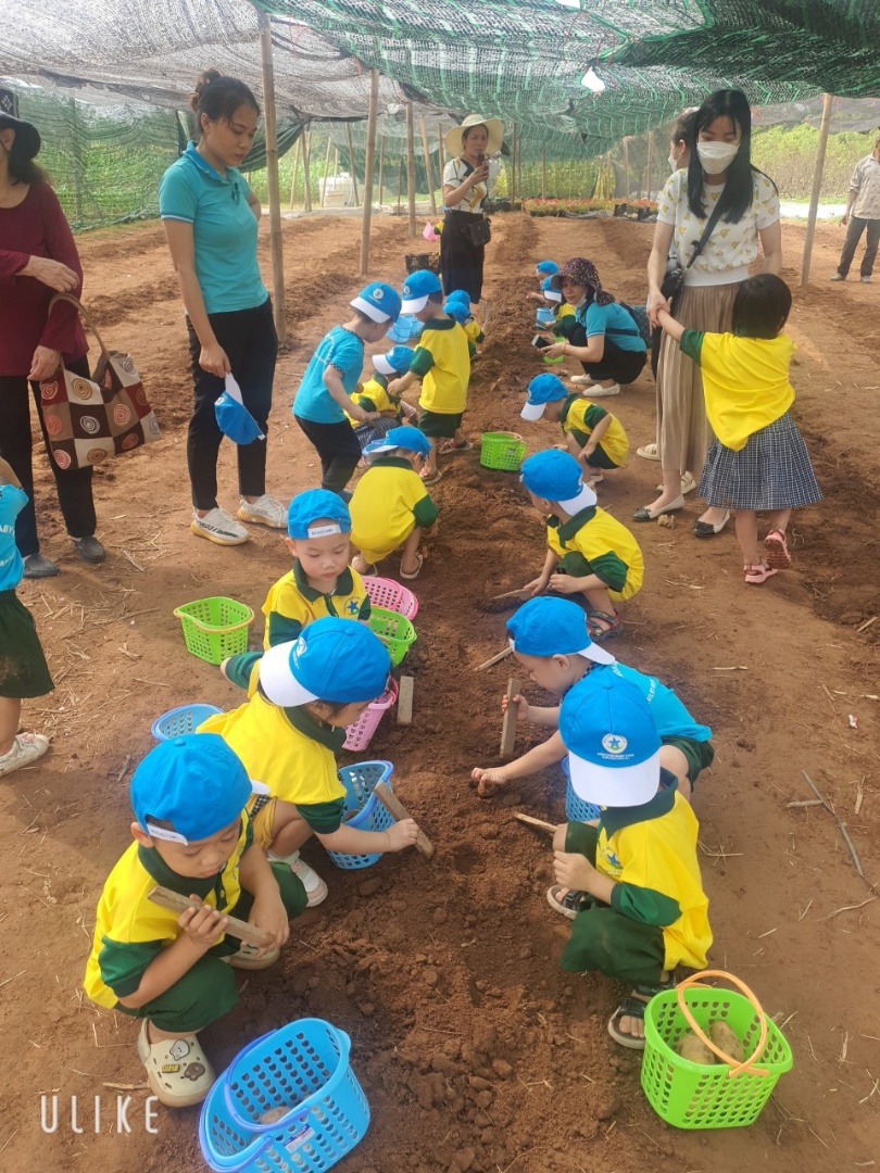 Dịch vụ và tiện ích
