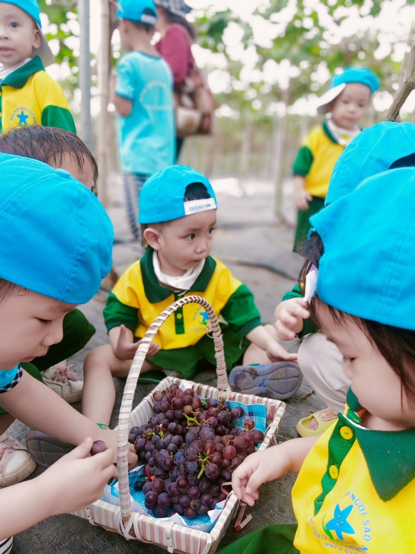 Dịch vụ và tiện ích