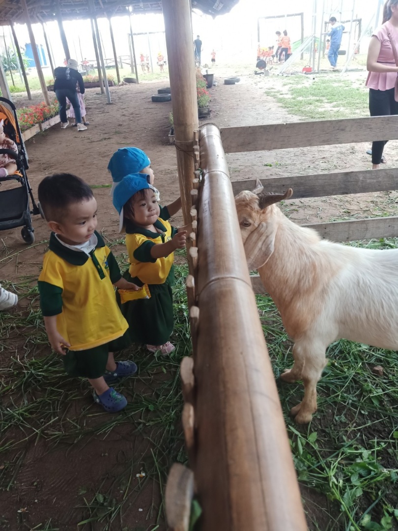 Dịch vụ và tiện ích