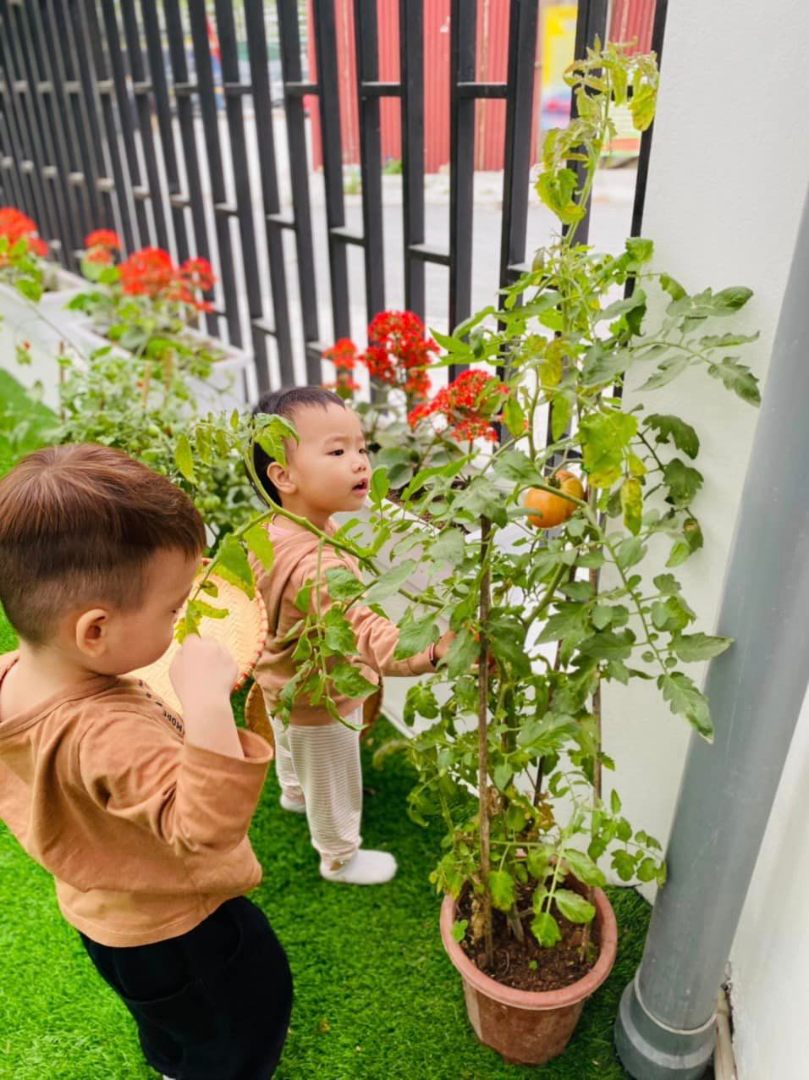 Dịch vụ và tiện ích