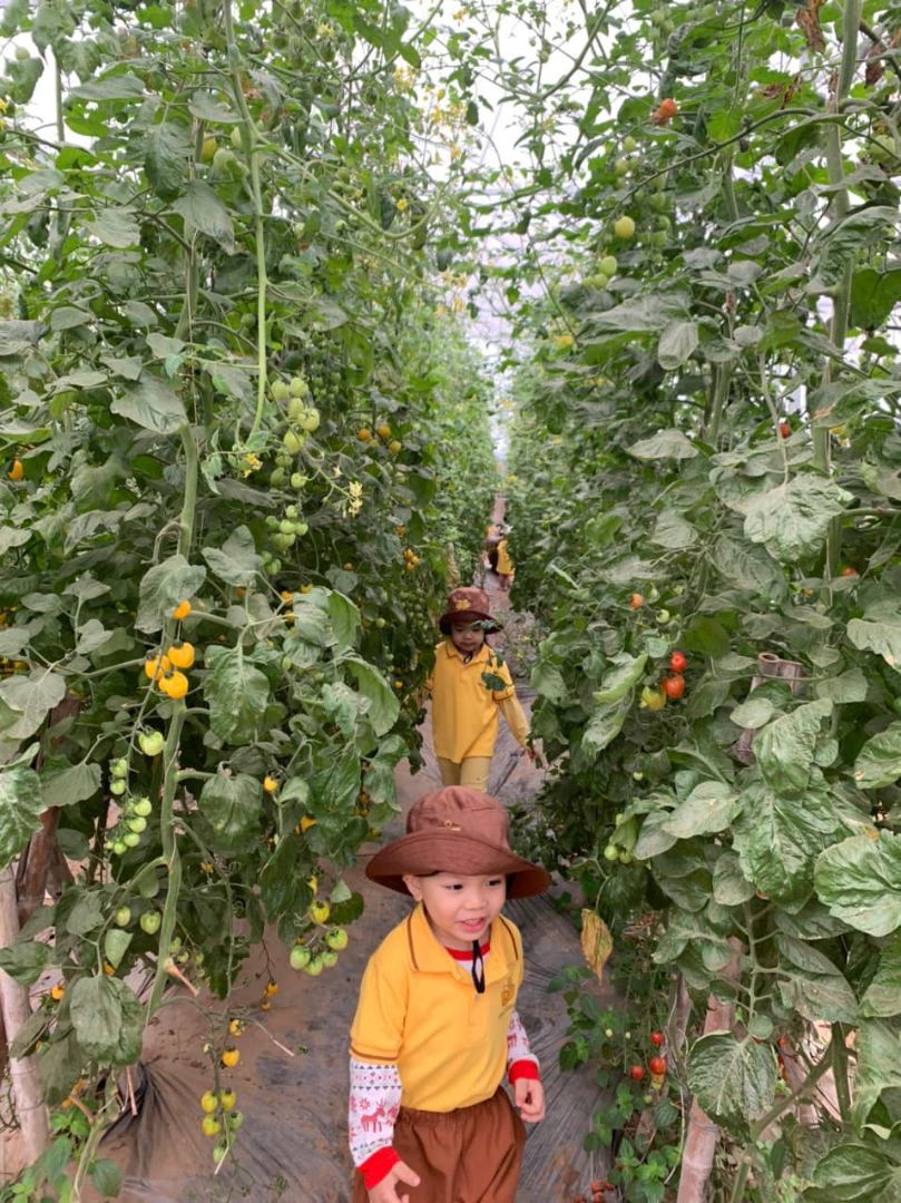 Dịch vụ và tiện ích