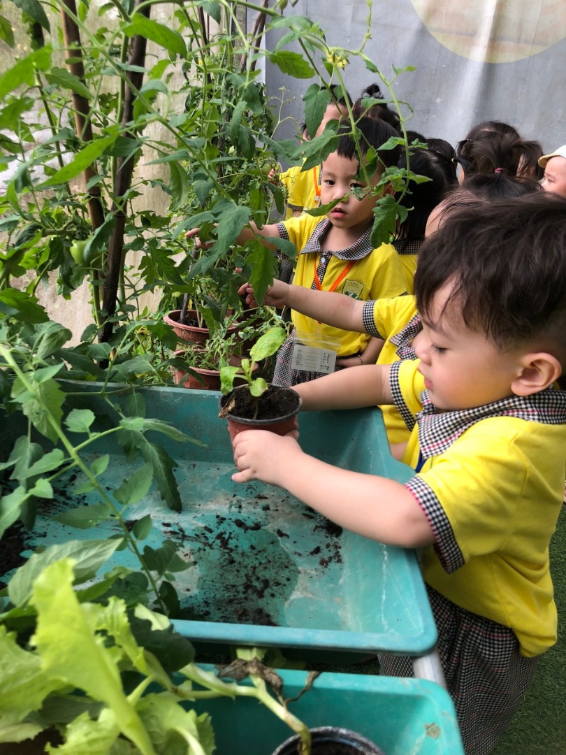 Dịch vụ và tiện ích