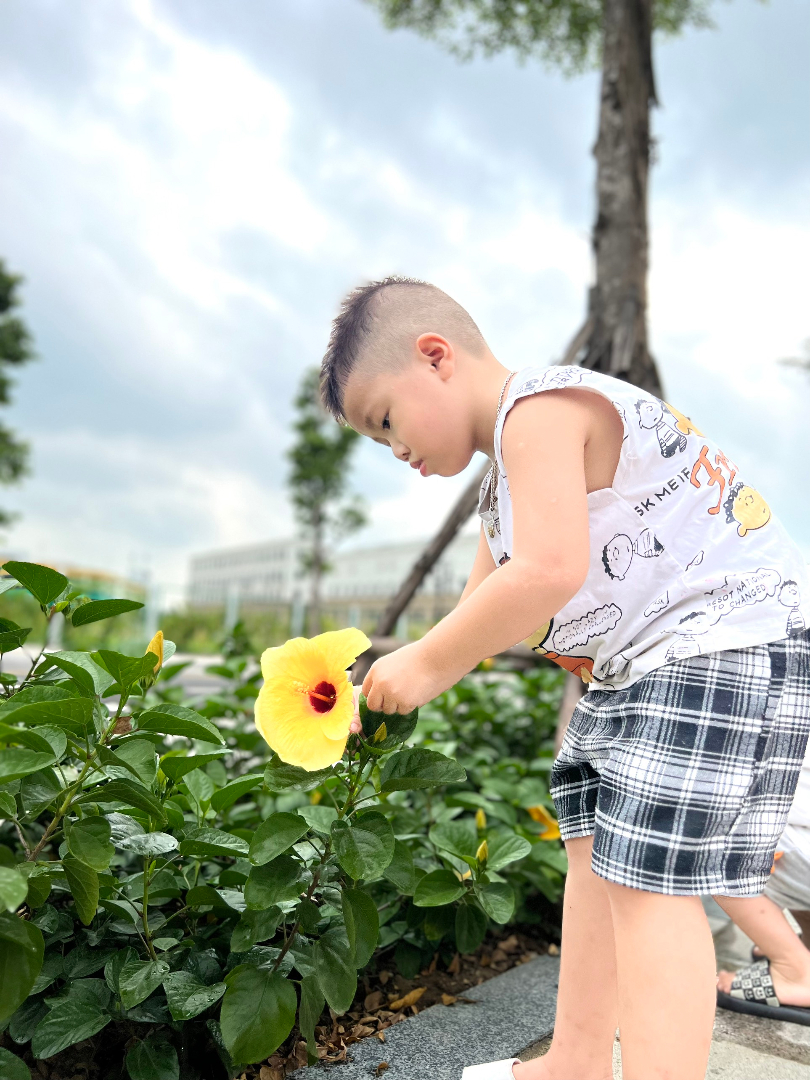 Dịch vụ và tiện ích