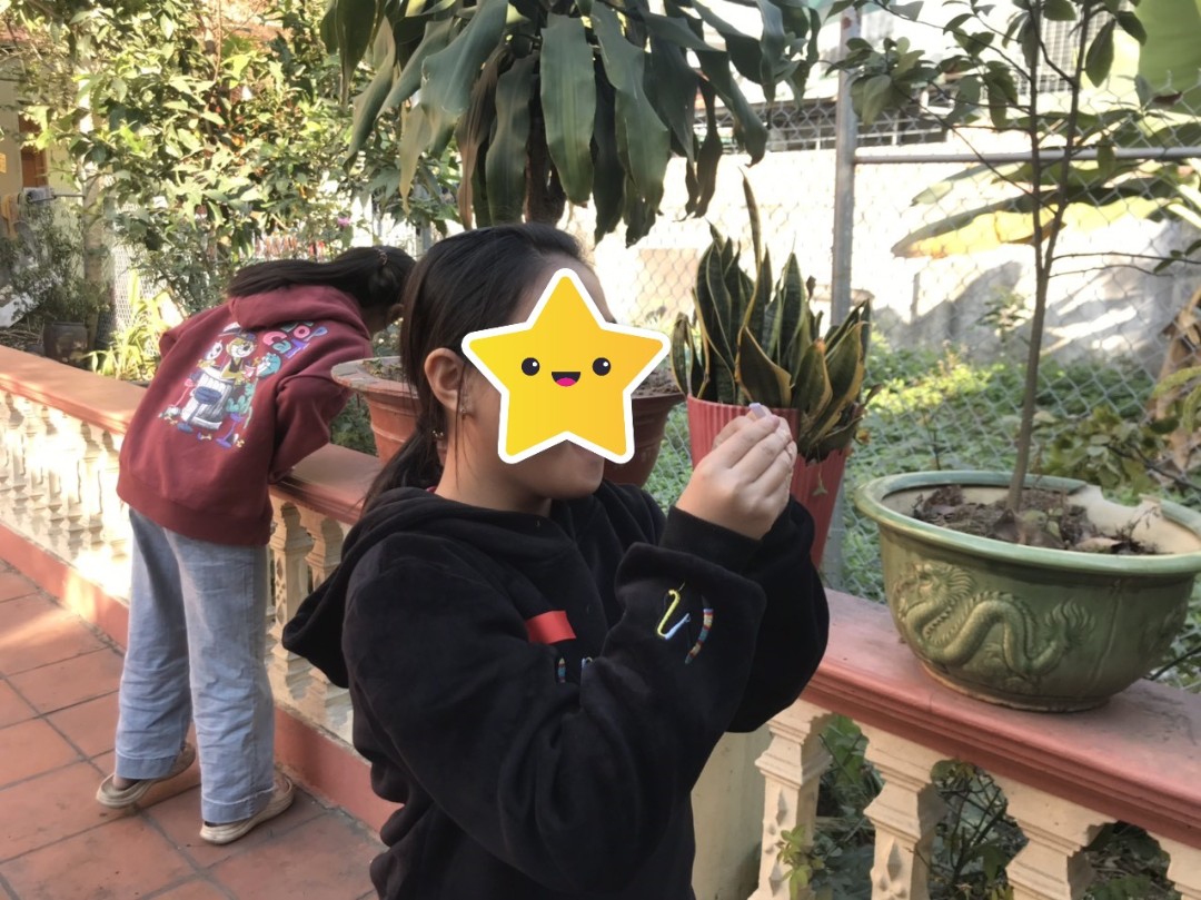 Dịch vụ và tiện ích