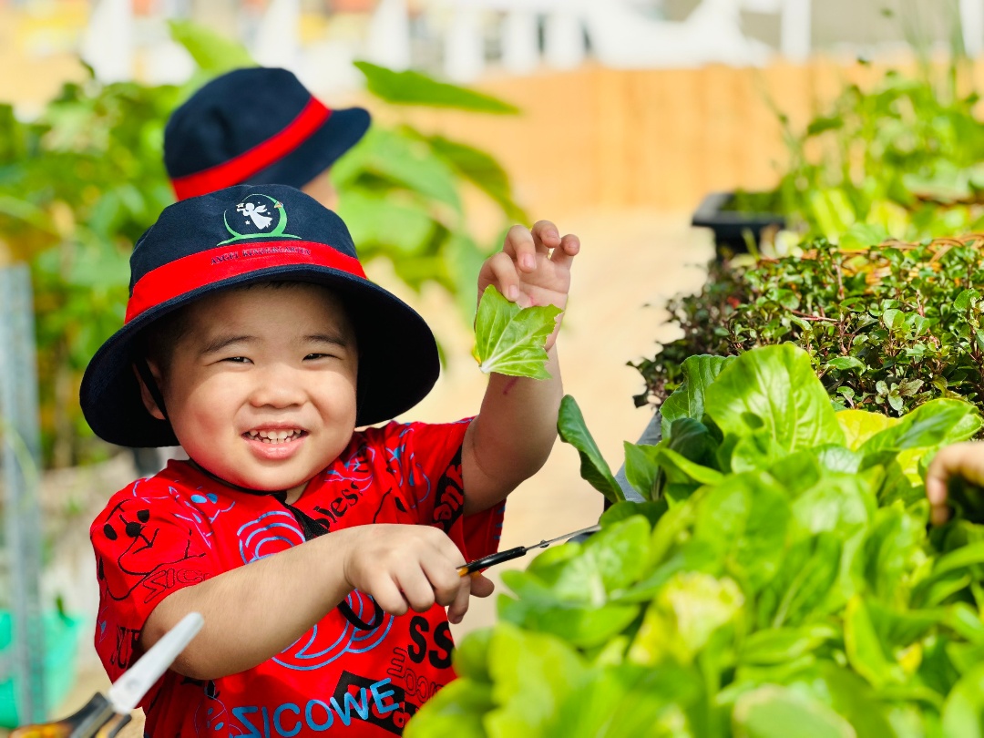 Dịch vụ và tiện ích