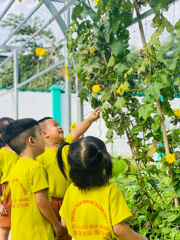 Dịch vụ và tiện ích