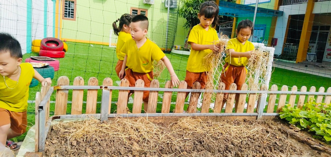 Dịch vụ và tiện ích