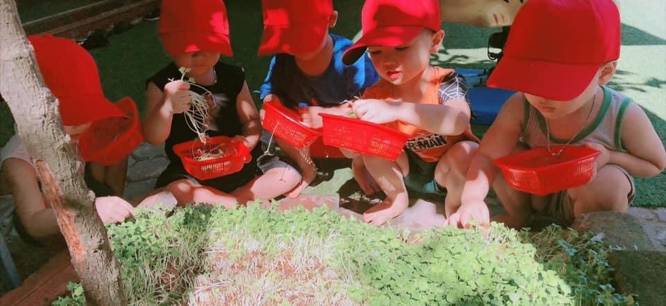 Dịch vụ và tiện ích