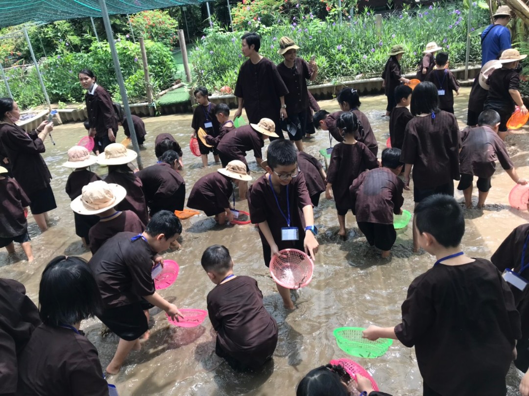 Dịch vụ và tiện ích