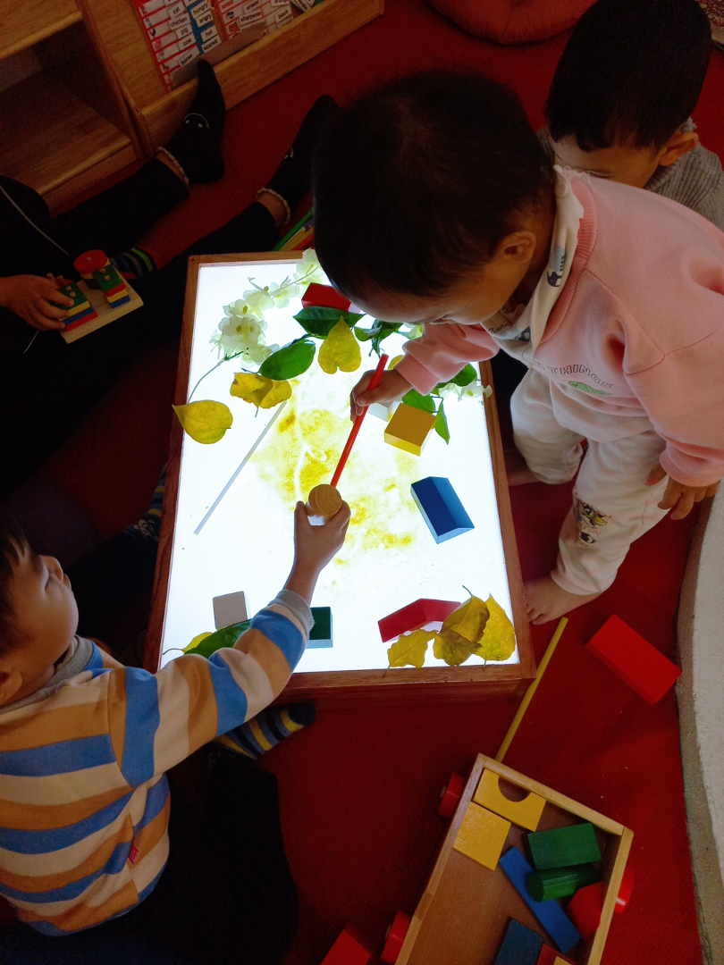 Dịch vụ và tiện ích