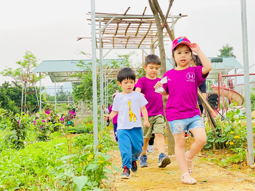 Dịch vụ và tiện ích