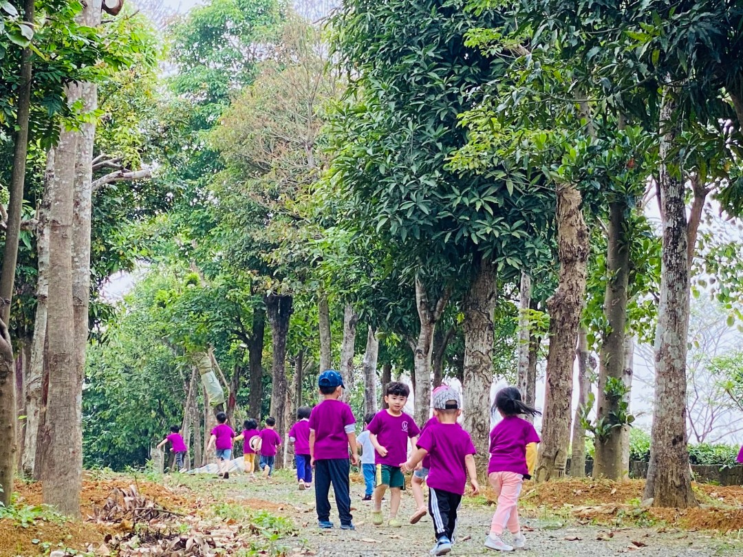 Dịch vụ và tiện ích