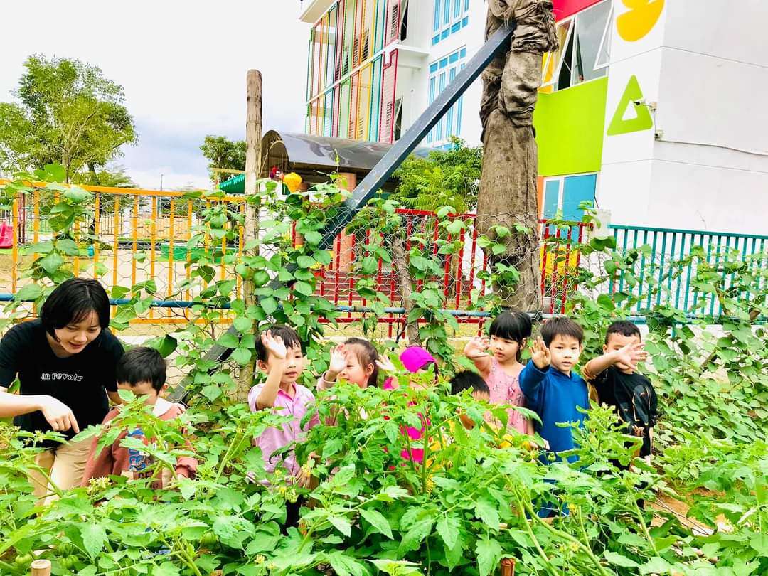 Dịch vụ và tiện ích