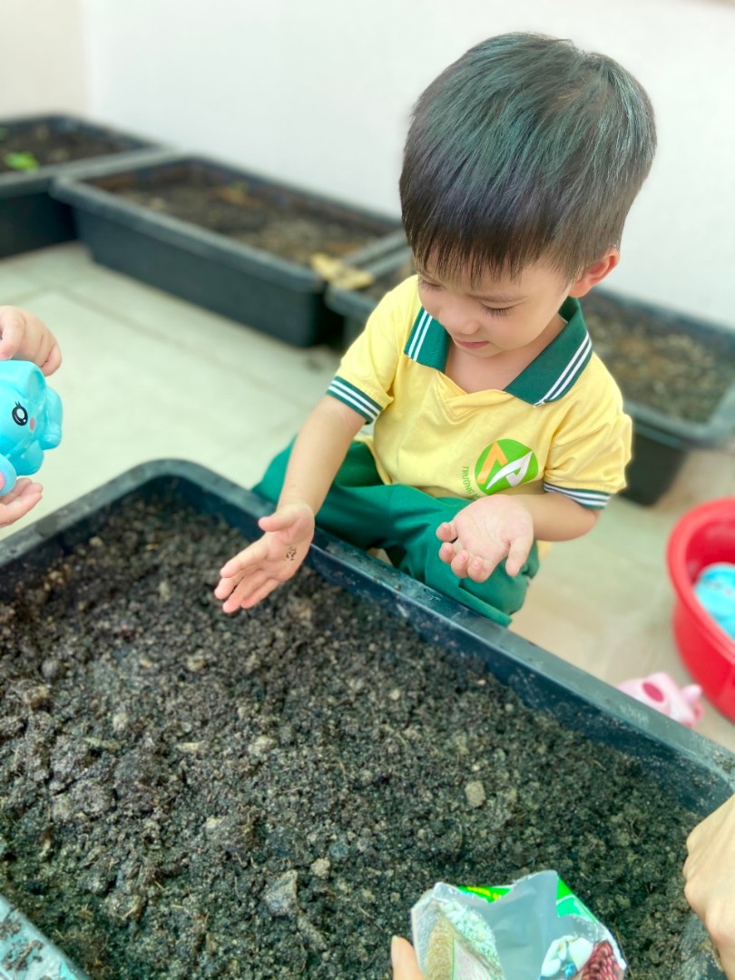 Dịch vụ và tiện ích