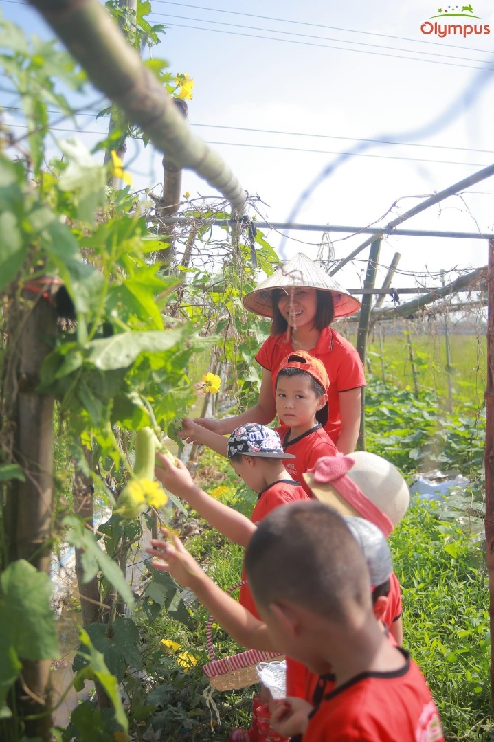 Dịch vụ và tiện ích